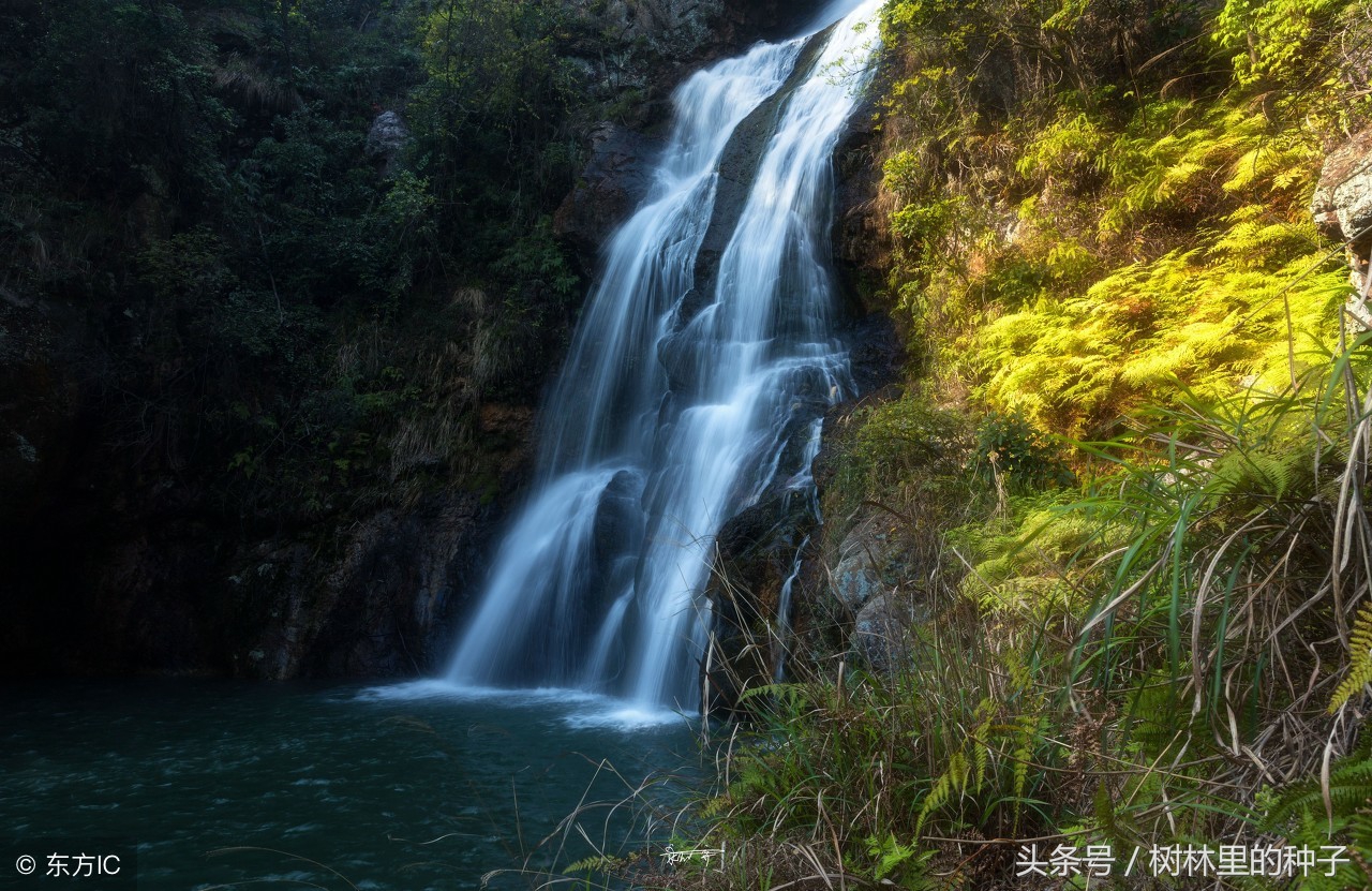 朱自清文章中优美的写景片段