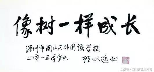 深圳这四所中小学，凭啥进入全国百强