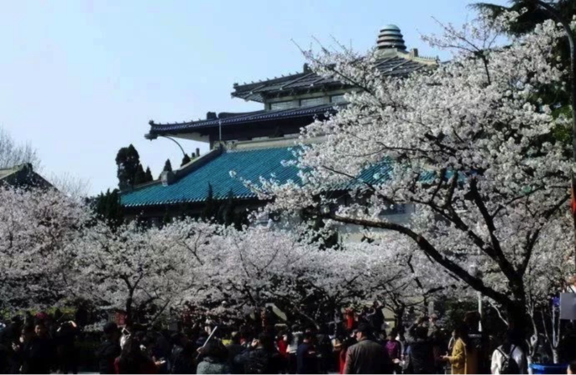 开学在即，一起来看看大学绰号最土的究竟是哪个？会是你的学校吗