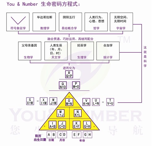 价值10元的生命密码学入门课程 销售神器