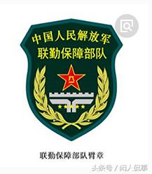 这9大类56种军队臂章你认识几种？
