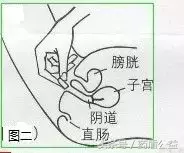 「每日一药」克霉唑栓(友南)