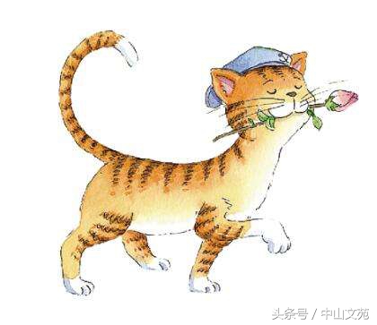 笑猫日记主要内容（笑猫日记主要内容和读后感）-第1张图片-华展网