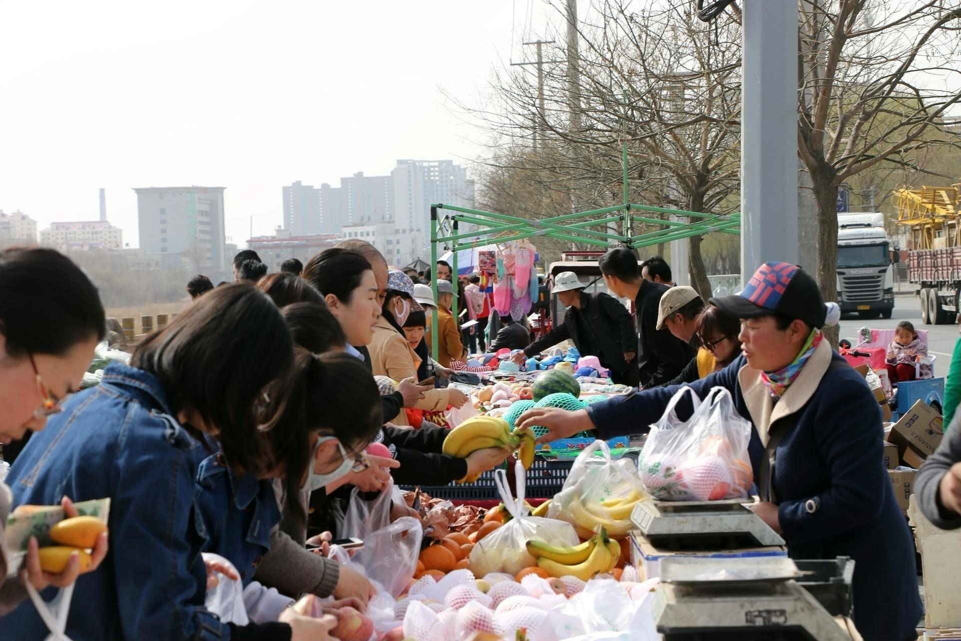 《计划软件app推荐_今日北京六环蔬菜价格「今日北京蔬菜批发市场价格」》