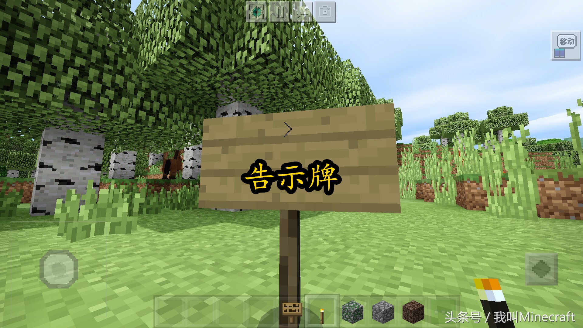 我的世界：野外迷路怎么办？这10种方法辨认方向，你还会迷路么？
