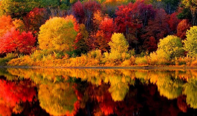 「诗词鉴赏」在诗词里品读色彩缤纷的秋天