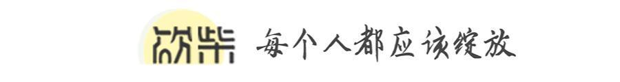 盲井：3万1条命，中国什么都缺，就是不缺人 王宝强在拍戏中成长