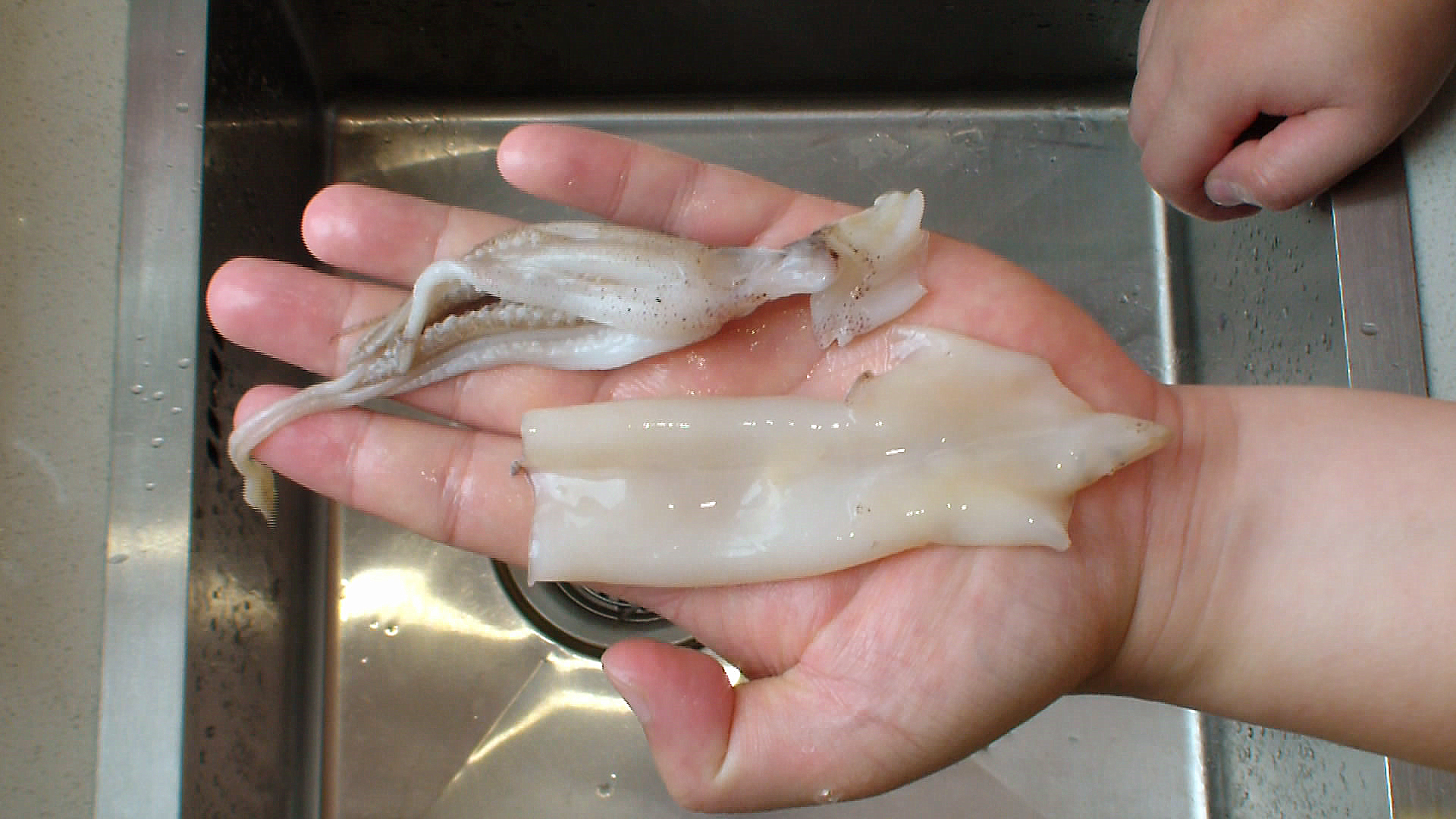 买了27块钱的海兔,在家做一大锅香辣海兔,拌米饭吃太香了