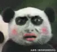 韩式半永久眉真那么好吗?纹眉前你要先知道这些