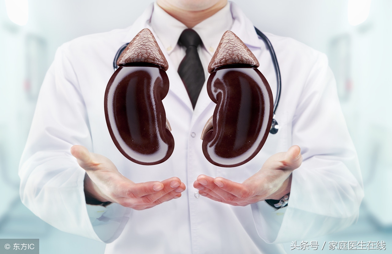 补肾吃什么好 补肾吃什么东西效果最好强肾 - 汽车时代网