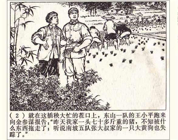 罗盘1974年作品《打豹记》过去打死猛兽听赞歌，现在可能得唱囚歌