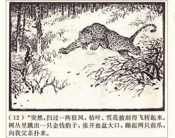 罗盘1974年作品《打豹记》过去打死猛兽听赞歌，现在可能得唱囚歌