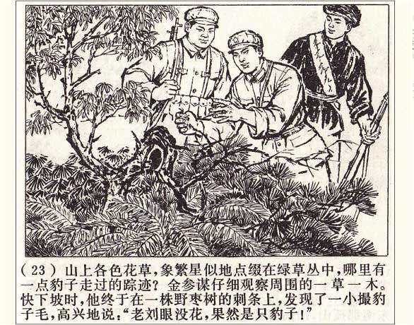 罗盘1974年作品《打豹记》过去打死猛兽听赞歌，现在可能得唱囚歌