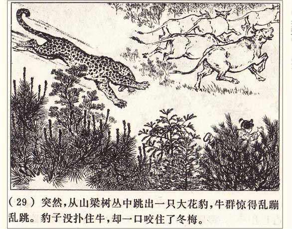 罗盘1974年作品《打豹记》过去打死猛兽听赞歌，现在可能得唱囚歌