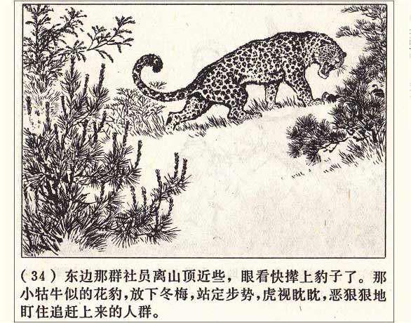 罗盘1974年作品《打豹记》过去打死猛兽听赞歌，现在可能得唱囚歌