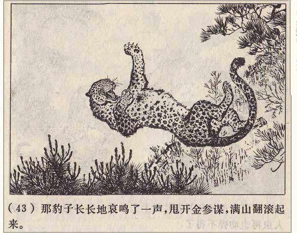 罗盘1974年作品《打豹记》过去打死猛兽听赞歌，现在可能得唱囚歌