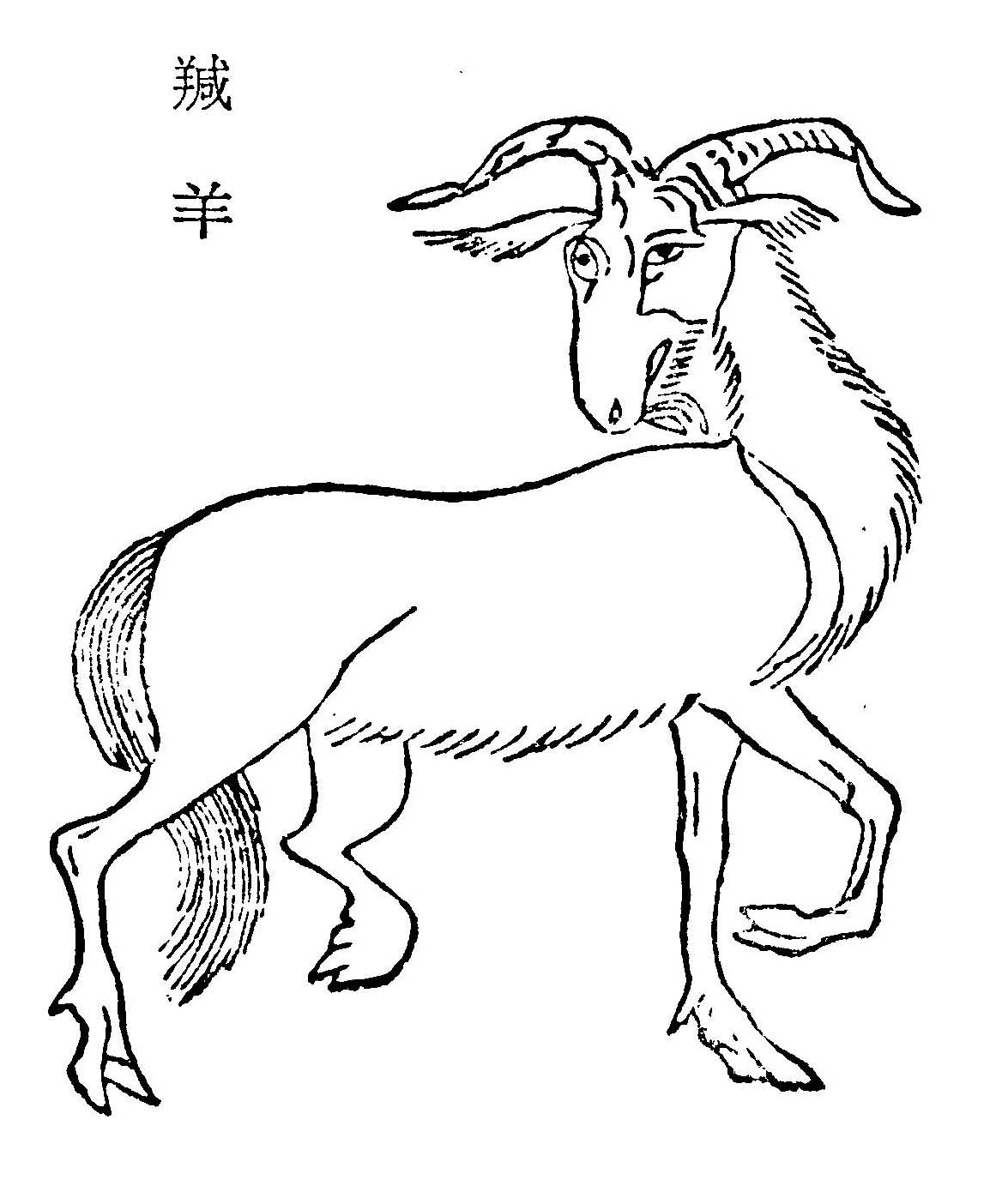 北山经》_山海经西海