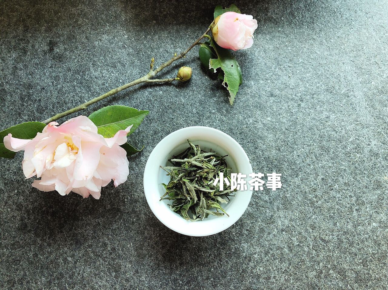 白茶是绿茶吗（绿茶和白茶是截然不同的两类茶）