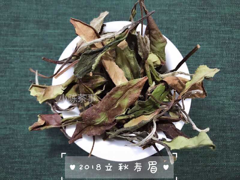 白茶是绿茶吗（绿茶和白茶是截然不同的两类茶）