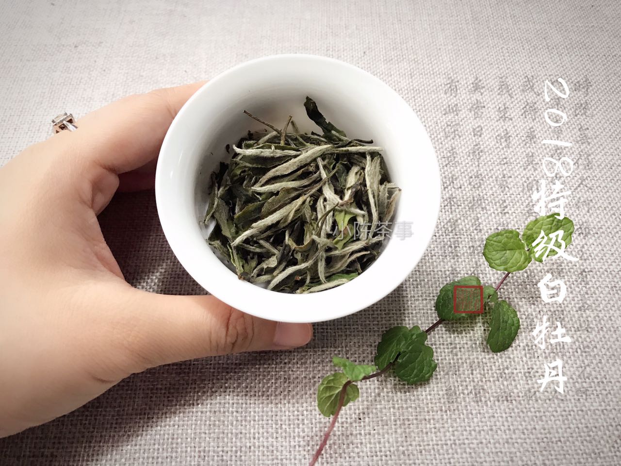 白茶是绿茶吗（绿茶和白茶是截然不同的两类茶）