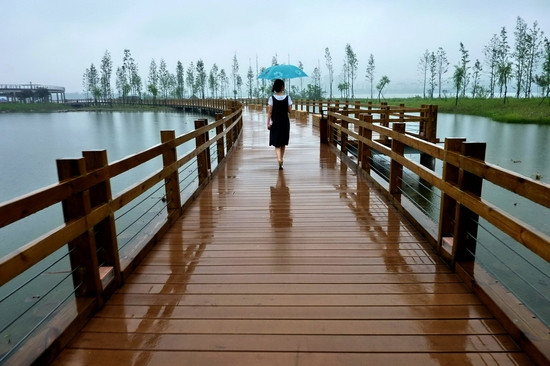 在等他决定(等雨，是伞一世的宿命；等你，是我一生的决定)