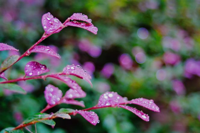 「诗词鉴赏」秋雨过后，便是天高气爽丰收的好季节！