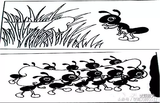 小学一、二年级语文阅读短文练习、看图写话训练、造句练习