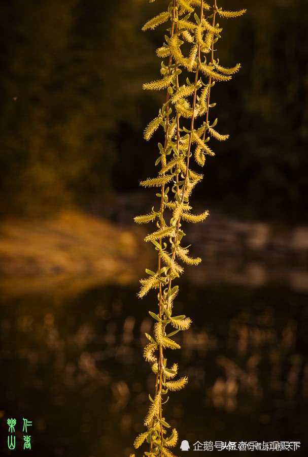 二零一九年四月二日仁者乐山观天下 图/文李陵台下,淡烟衰草黄沙.