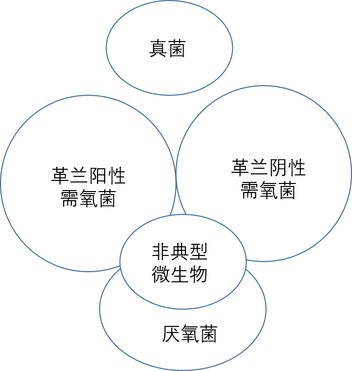 头孢、阿莫西林、罗红霉素到底有什么区别？这篇文章总结的很全！