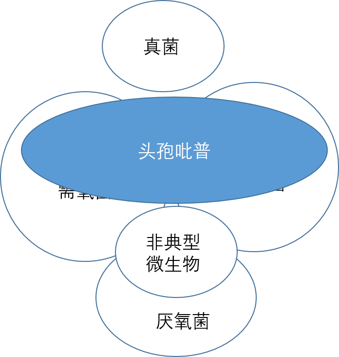 头孢、阿莫西林、罗红霉素到底有什么区别？这篇文章总结的很全！