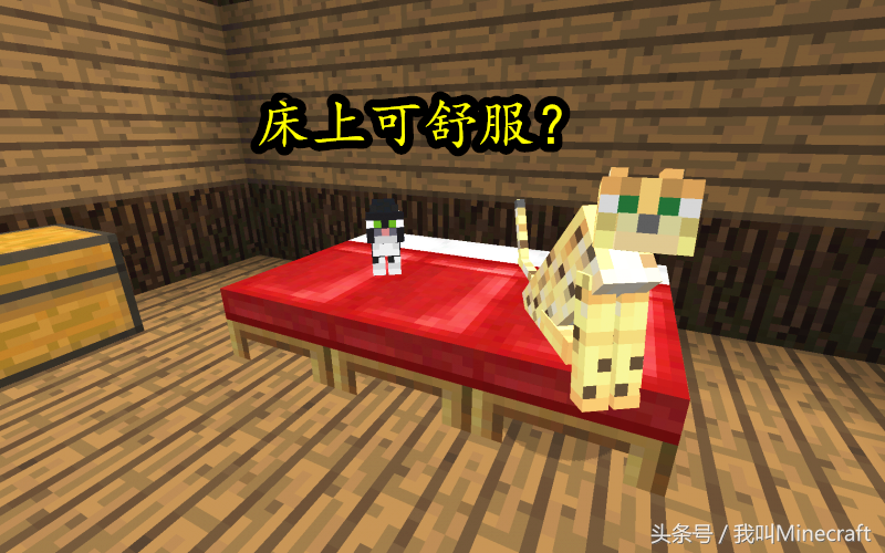 我的世界:如何“科学”驯服豹猫?萌新只会喂鱼,老MC却这样做!