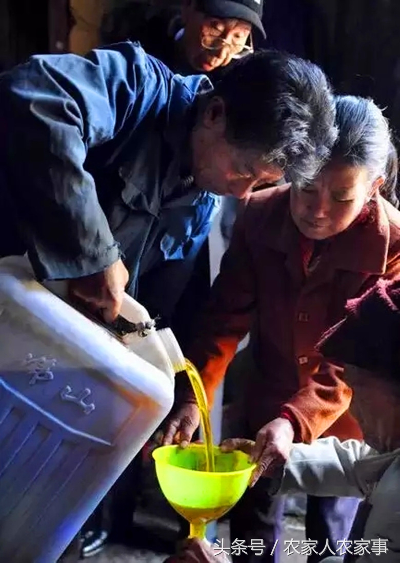 探访赣南传统手工榨‘’木梓油‘’（茶油）的工艺流程