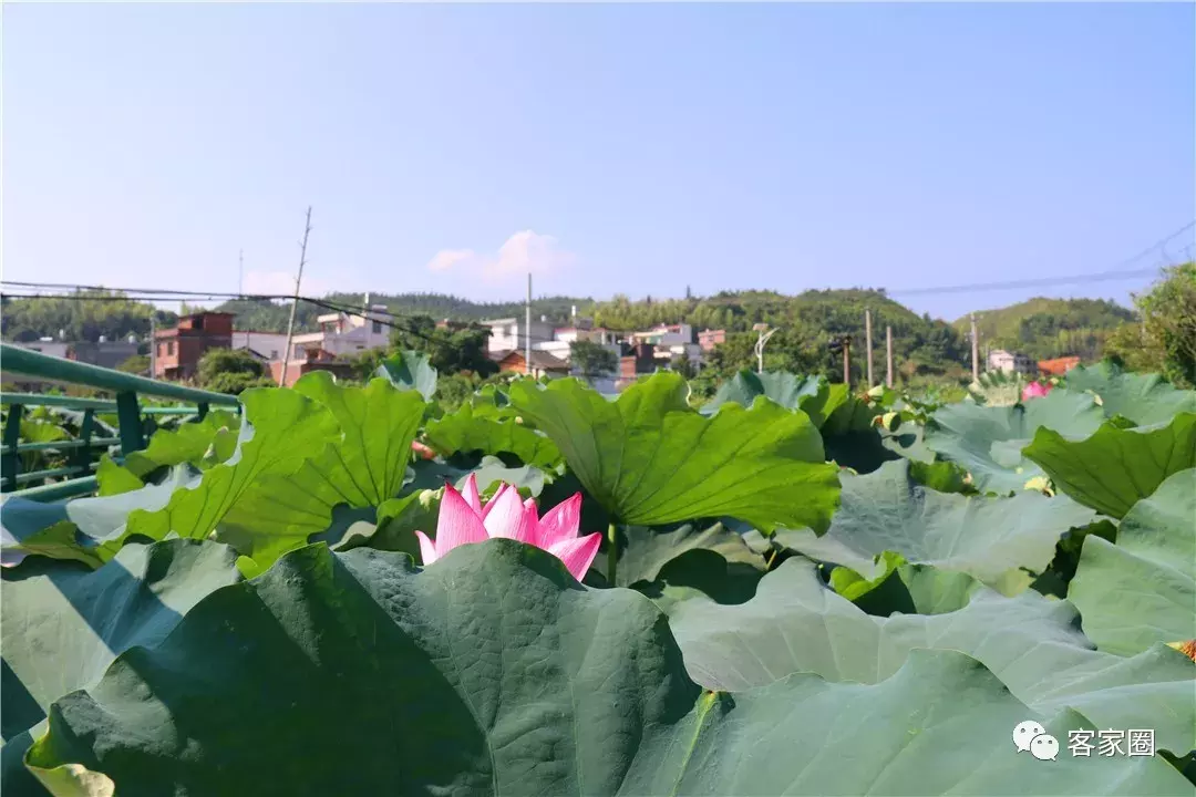 赣县看世界杯吃夜宵(社溪，曾经一个不起眼的地方，未来发展不可限量！)