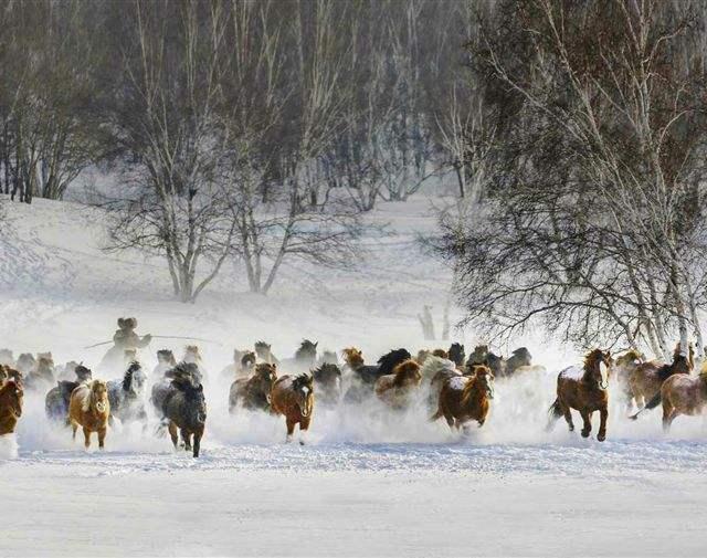 阑卧听风吹雨铁马冰河入梦来可以看出诗人的什么_夜阑卧听风雨声铁马
