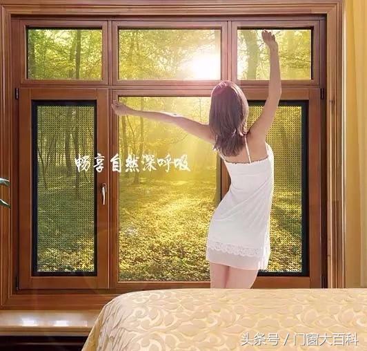 史上最全的铝包木门窗购窗指南！行家私藏