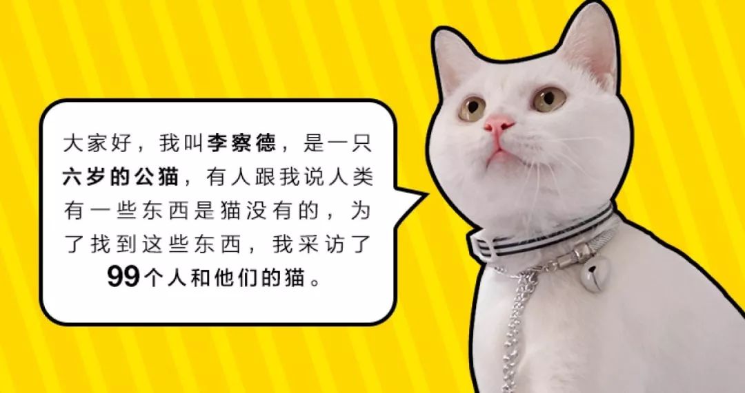 猫说｜我想陪你嫁给他，却留下陪你妈