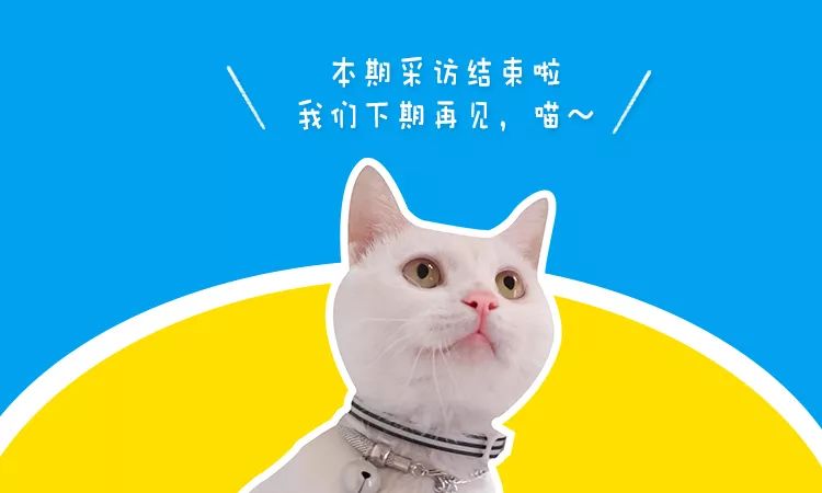 猫说｜我想陪你嫁给他，却留下陪你妈