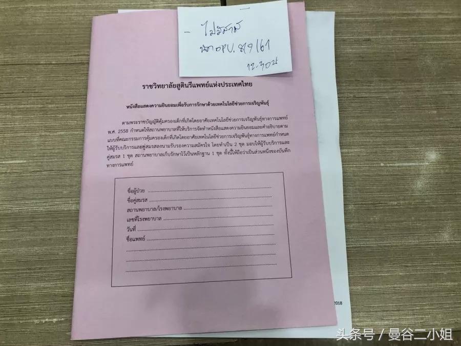 31岁这年，我在泰国冷冻了卵子