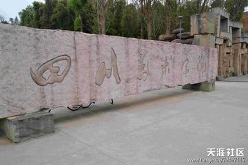 四川美术学院2018年录取分数线