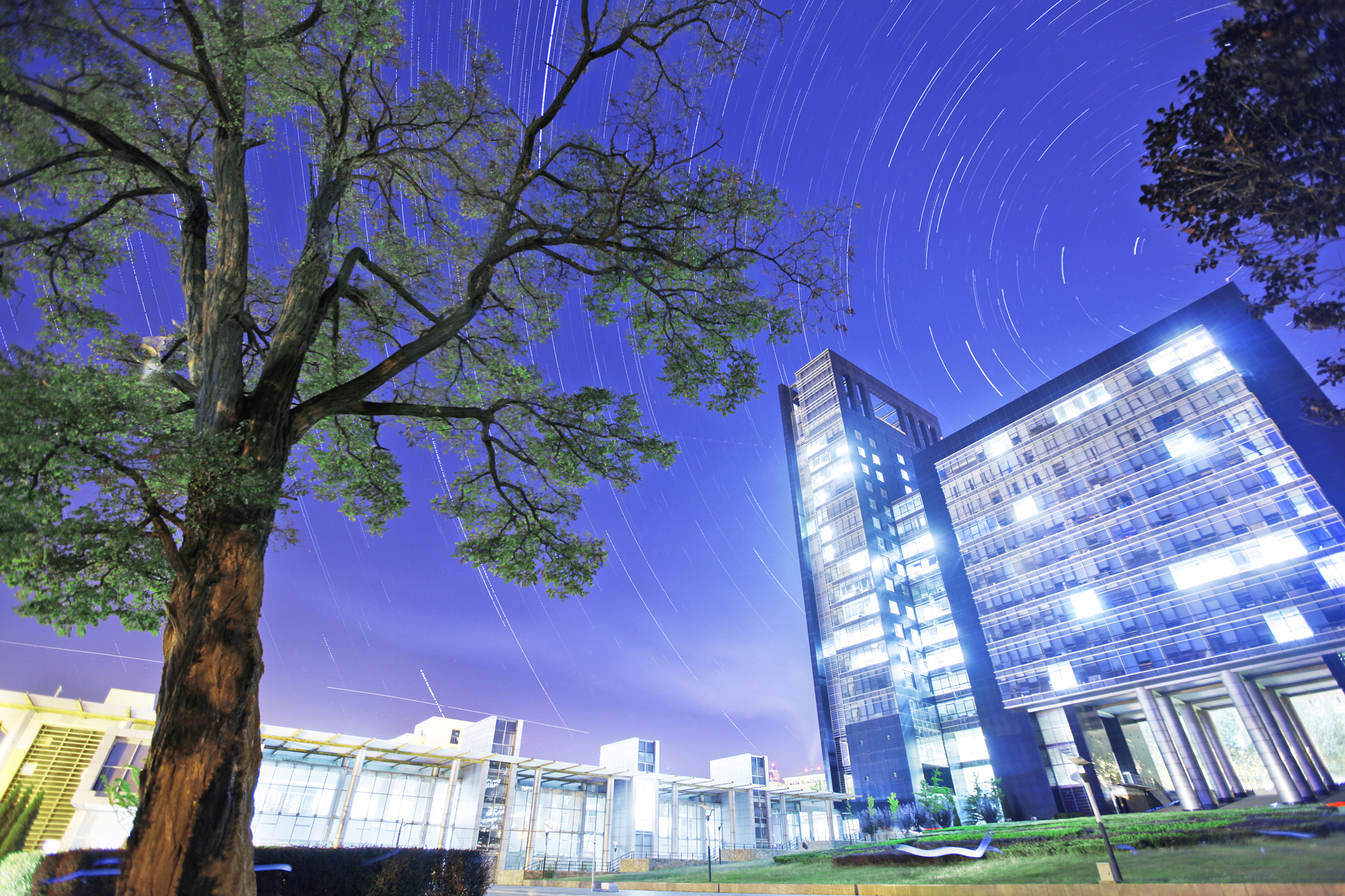 大工青年教师获外研社杯“教学之星”大赛辽宁省分赛区季军