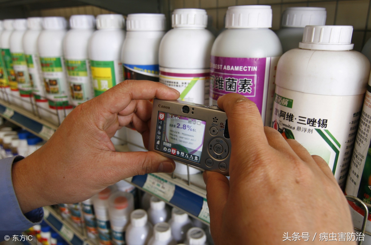 农药的分类有哪些（知识科普常见的农药分类大全）