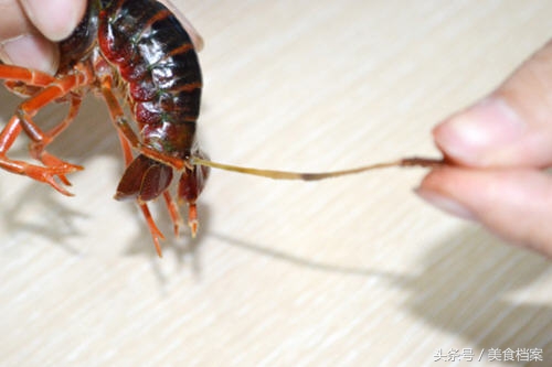 如何清洗小龙虾（小龙虾的清洗处理方法图解）