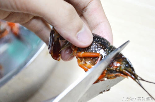 如何清洗小龙虾（小龙虾的清洗处理方法图解）