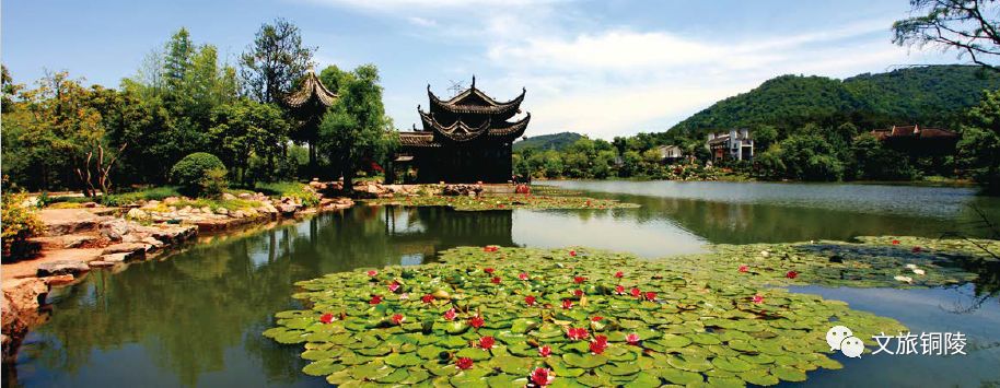 銅陵農林村景點,銅陵周邊一日遊景點_魅力恩施旅遊網