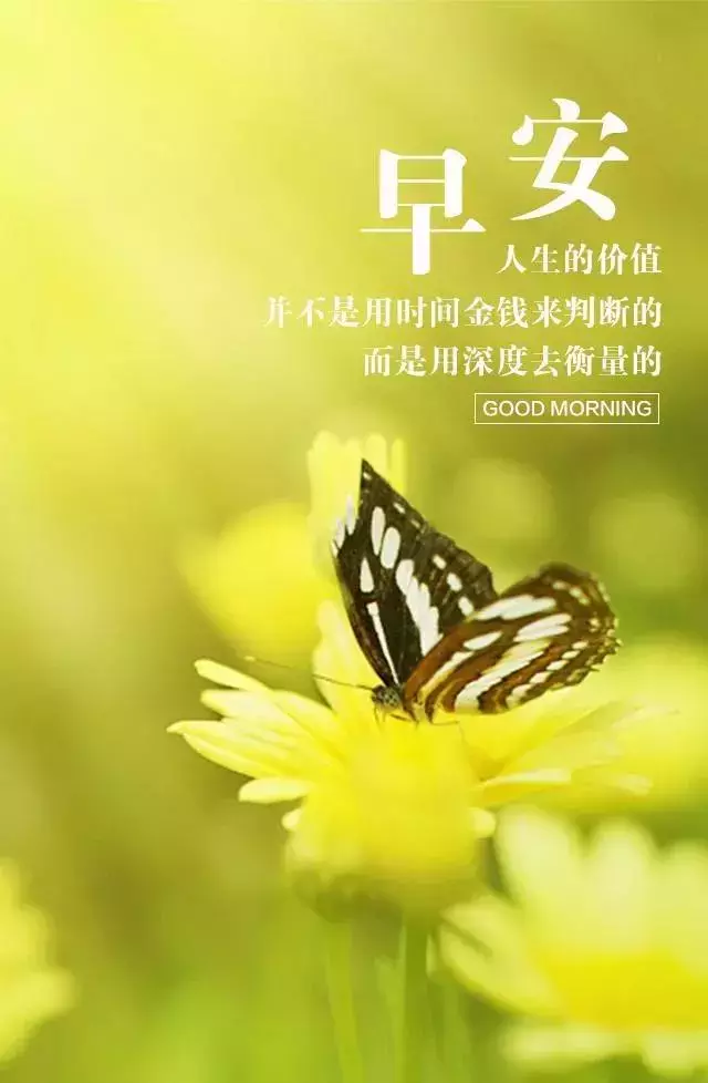 早安心语正能量一句话 早安励志激励人心的精辟短句