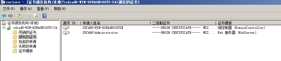 配置 AD 域及证书服务与 DNS 服务说明