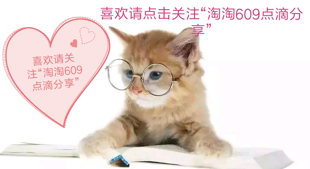 609183建筑工程项目质量管理责任制（责任到人）