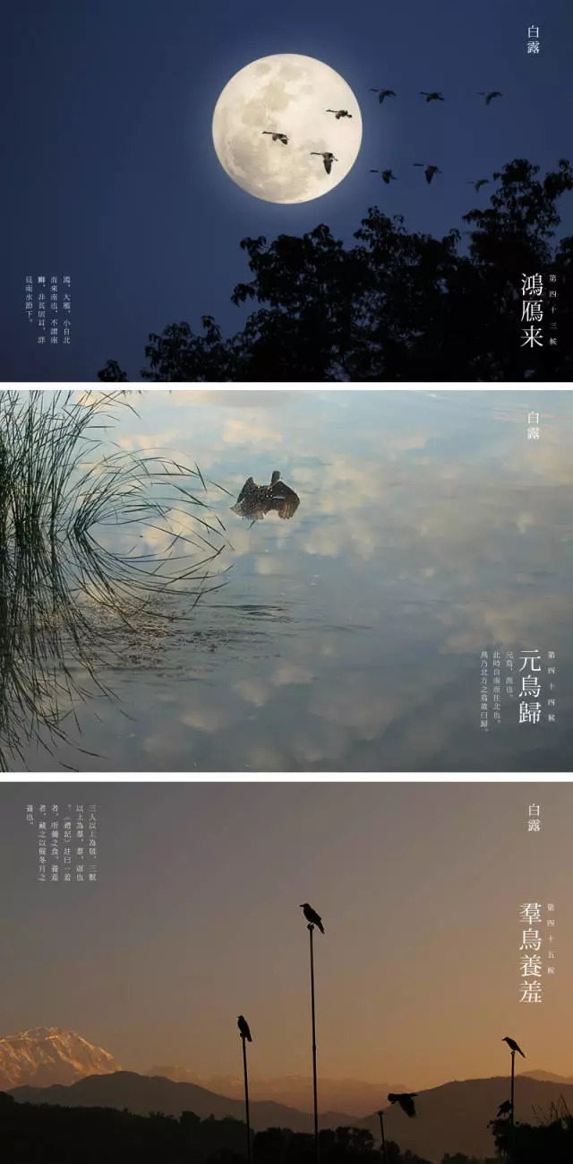 露从今夜白阅读理解露从今夜白啥意思