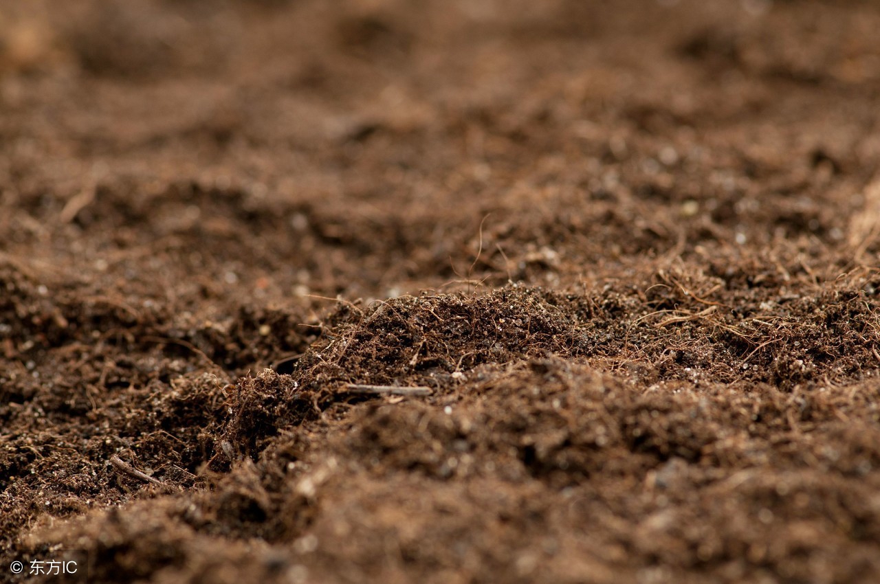土壤的特点（三种土壤的特点特性你都知道吗）