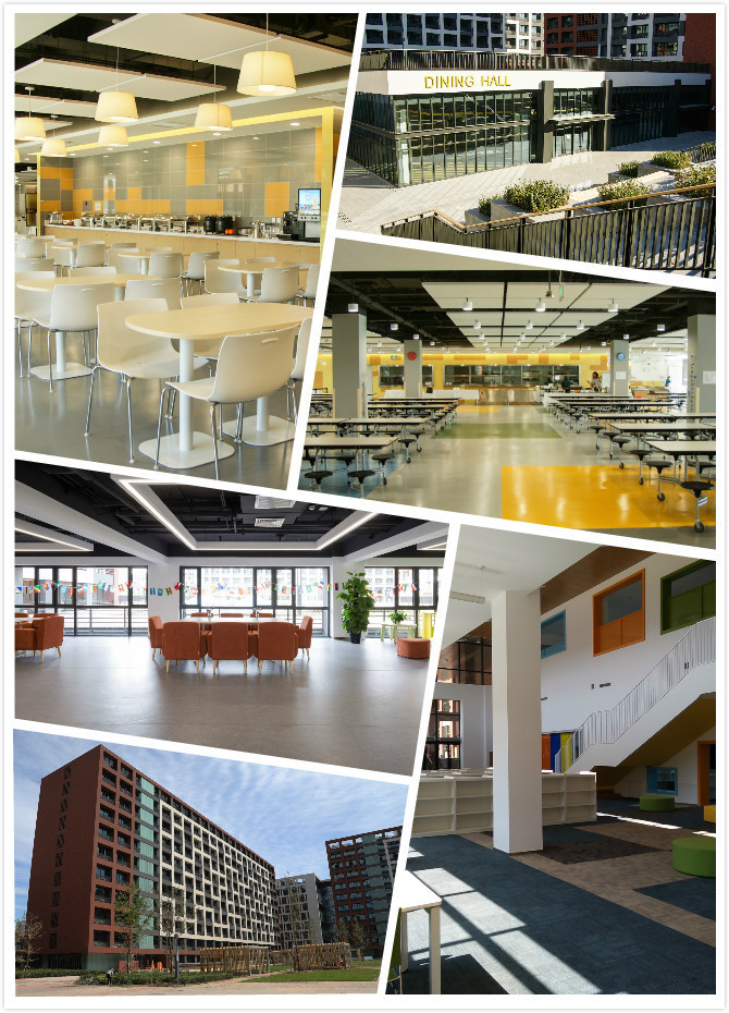 师生比1比5！义务教育教学不盈利！这所国际学校靠什么发展下去？